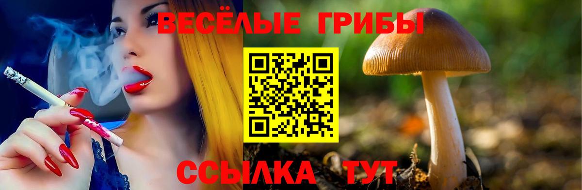 Псилоцибиновые грибы Psilocybe  Вход с VPN  Азов  Псилоцибиновые грибы GOLDEN TEACHER 